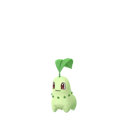 Chikorita