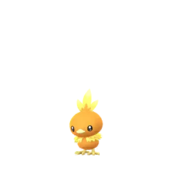 Torchic