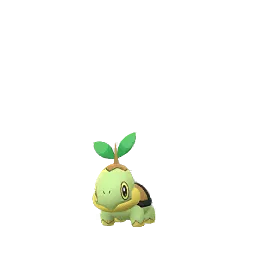 Turtwig