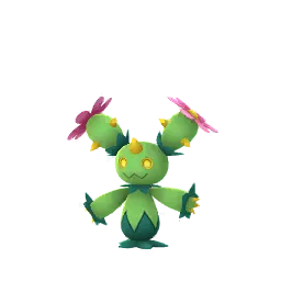 Maractus