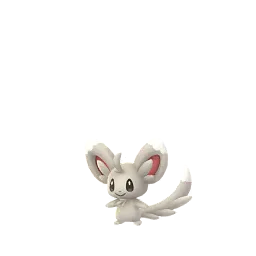 Minccino