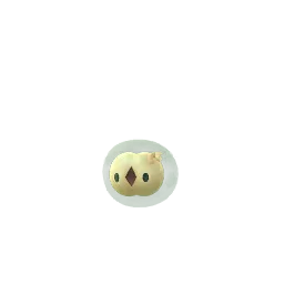 Solosis