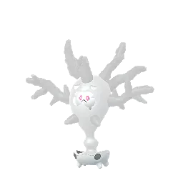 Cursola