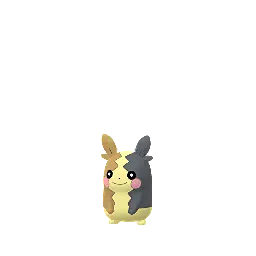 Morpeko (Full Belly)